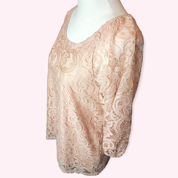 Adrianna Papell Blush Pink Metallic Lace Overlay Blouse Medium - Picture 3 of 6